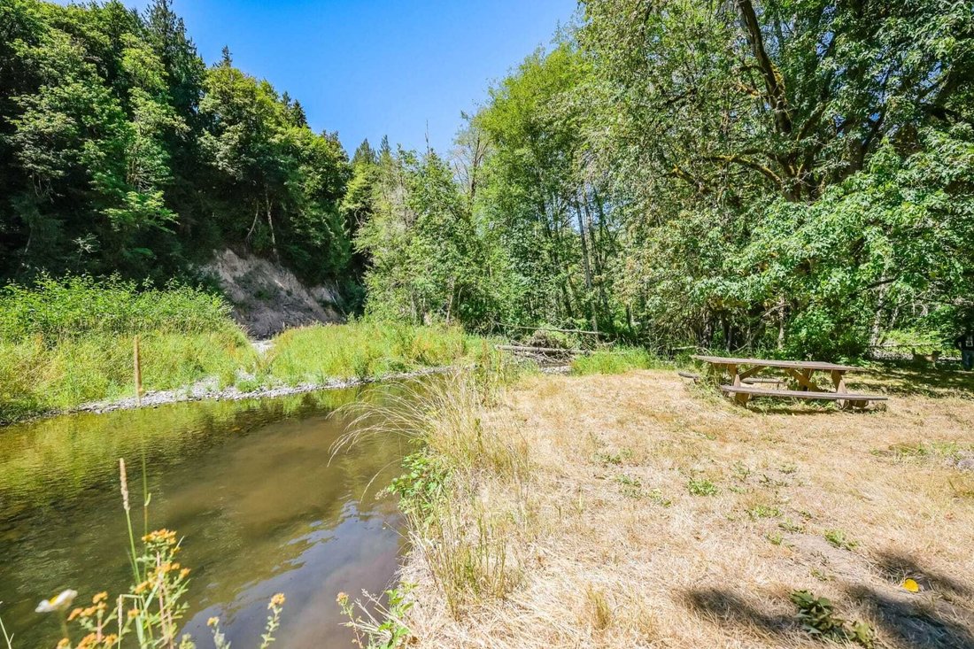 Land in Birkenfeld, Oregon, United States 3 - 17501179