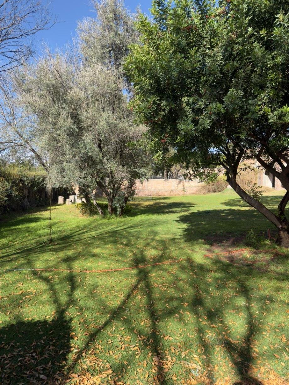 House in Aguascalientes, Aguascalientes, Mexico 1 - 17501420
