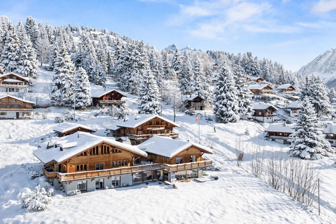 Ski In/Ski Out Chalet With Panoramic View