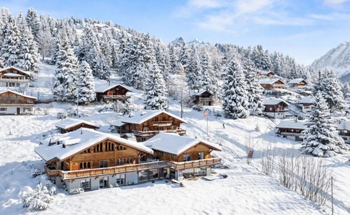 Chalet in Ollon, Waadt, Schweiz 1