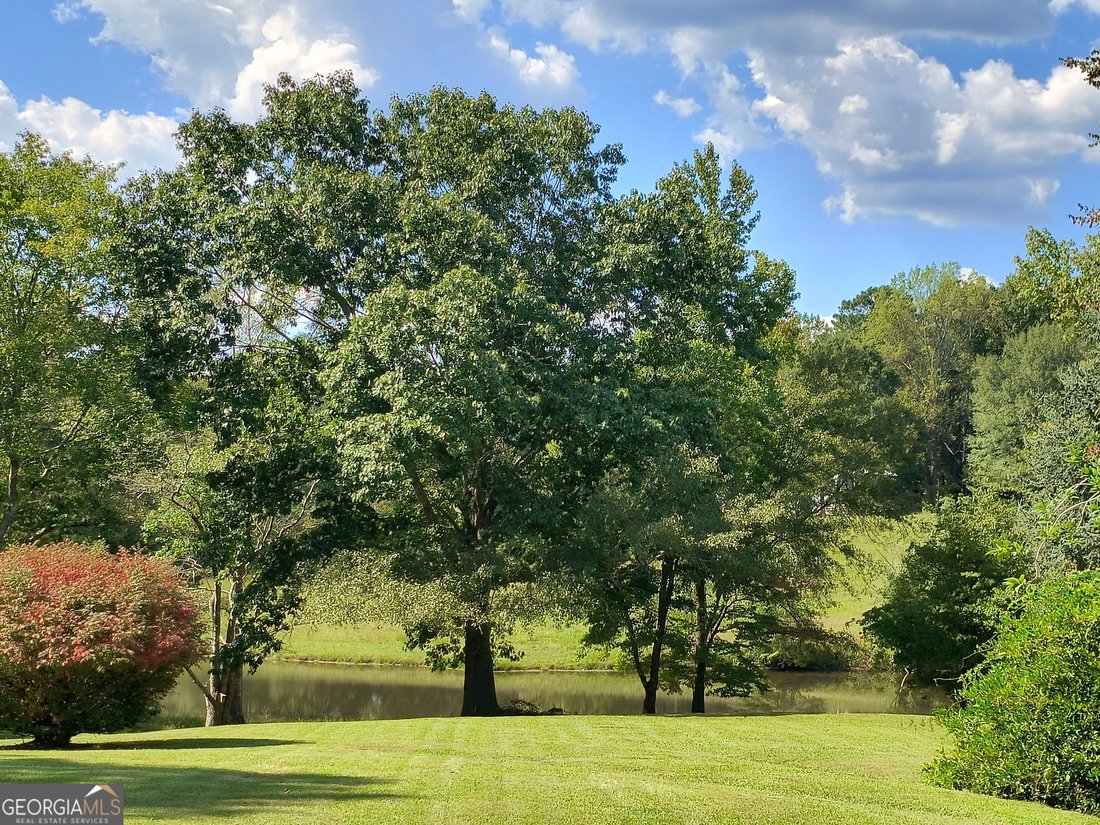 House in Whitesburg, Georgia, United States 4 - 17501846