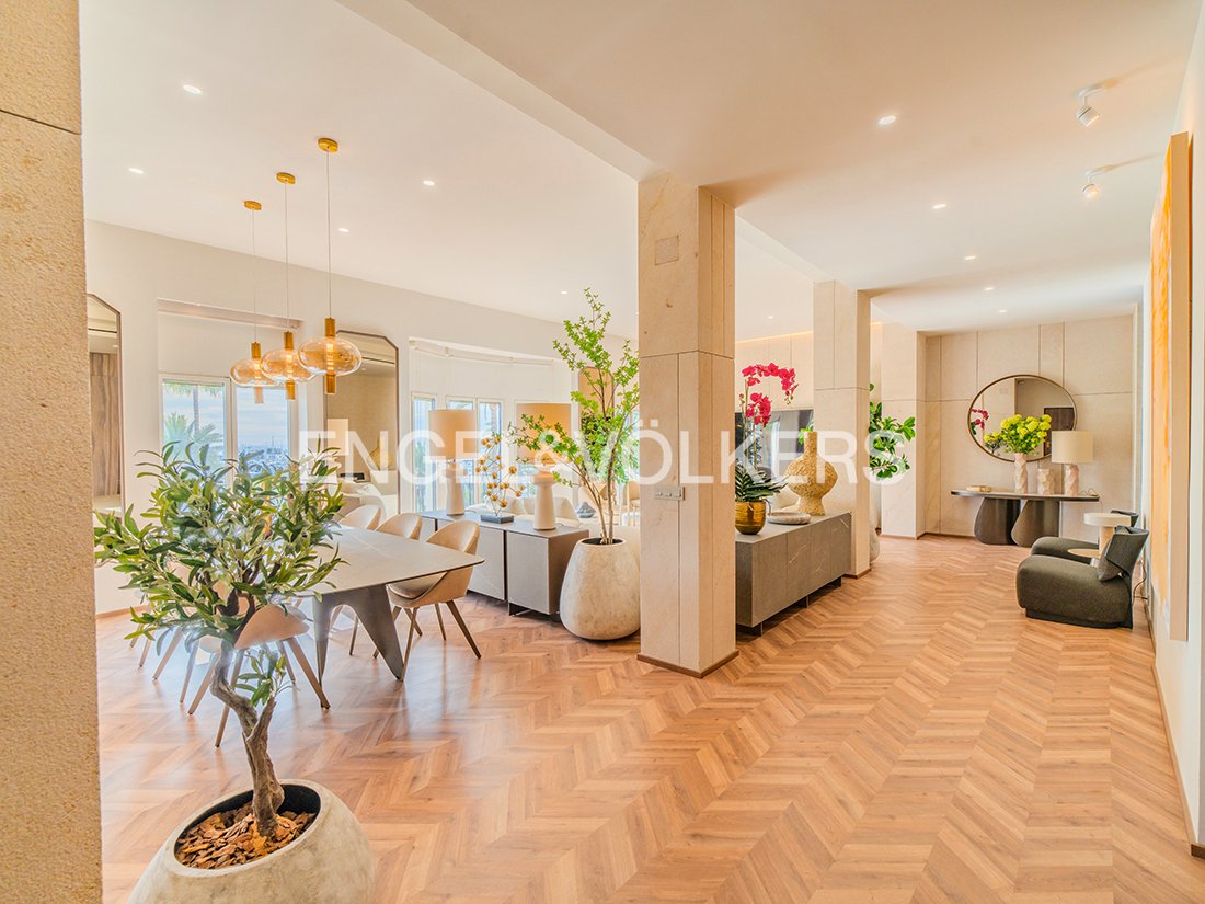 Apartment in Casco Antiguo - Santa Cruz - Ayuntamiento, Alicante, Valencian Community 4 - 17502478
