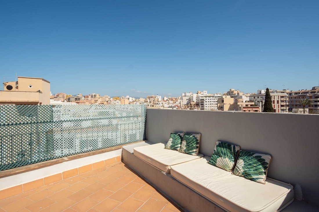 Apartment in Palma, Balearic Islands, Spain 4 - 17502532
