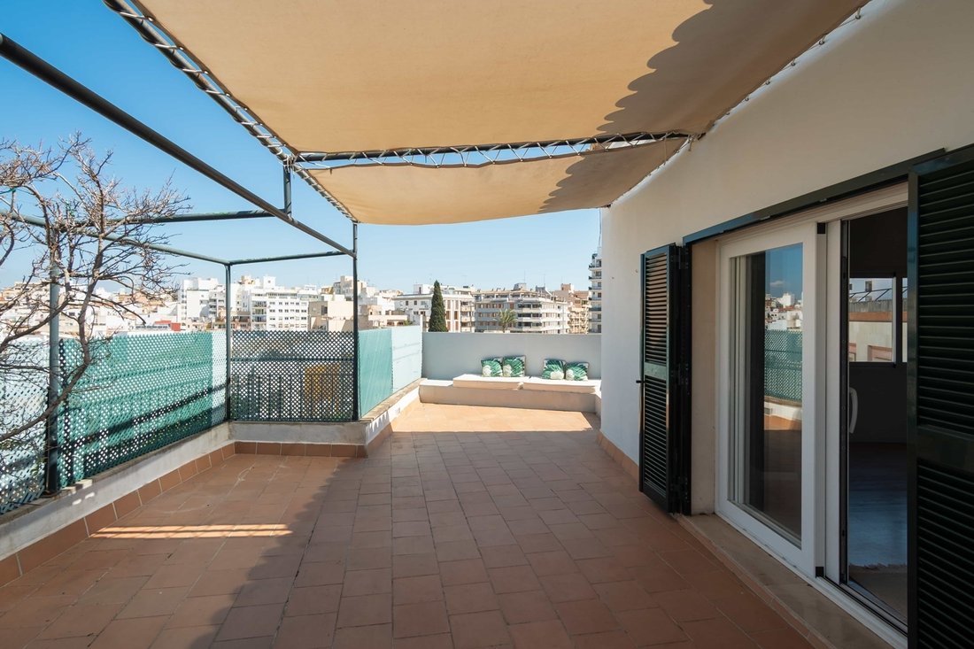 Apartment in Palma, Balearic Islands, Spain 3 - 17502532