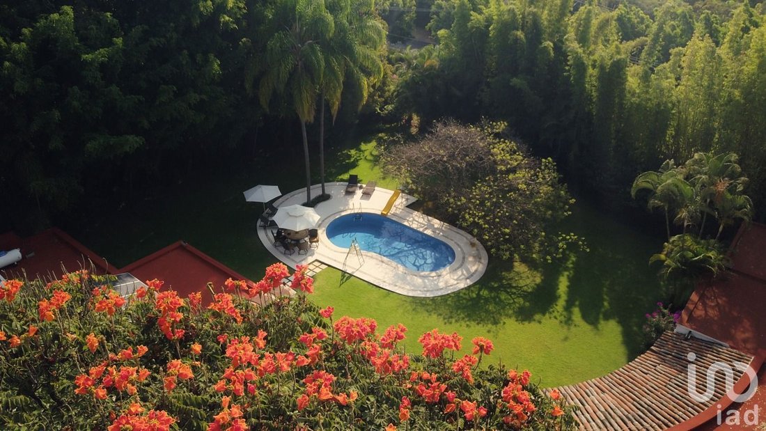 House in Cuernavaca, Morelos, Mexico 2 - 17502940