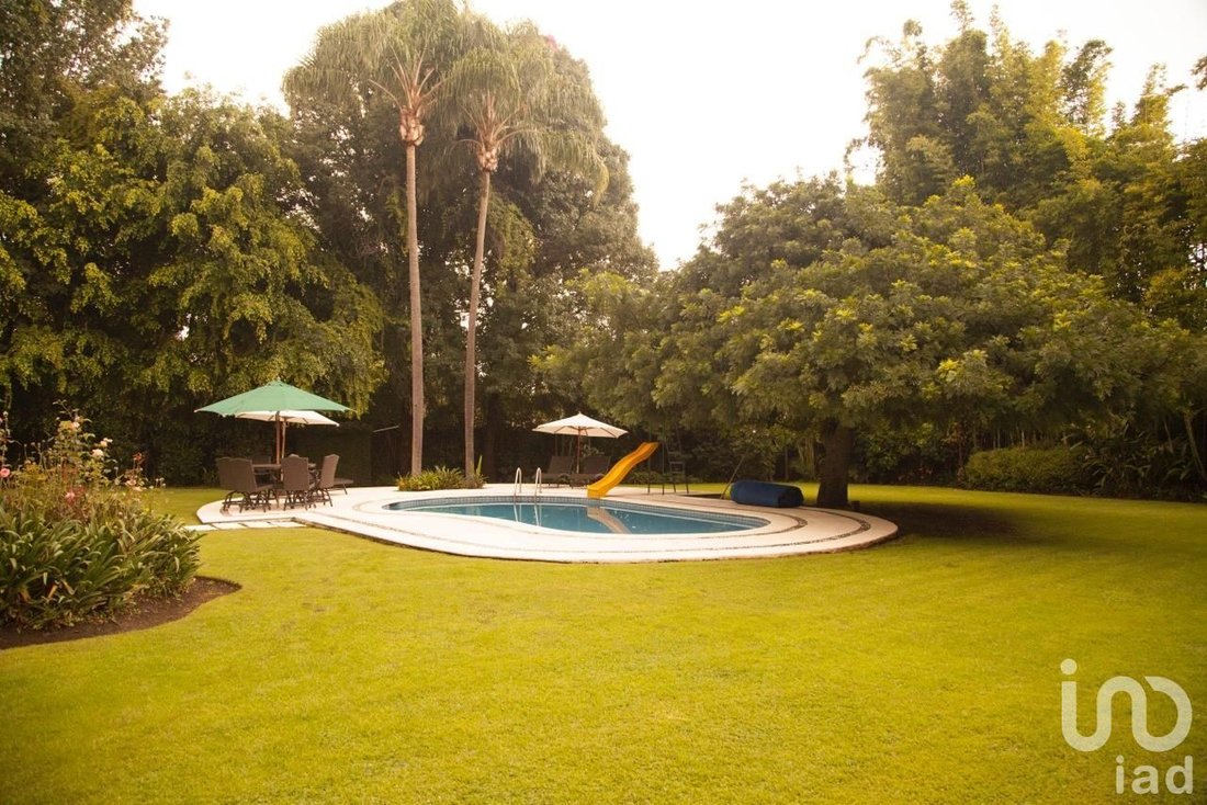 House in Cuernavaca, Morelos, Mexico 4 - 17502940