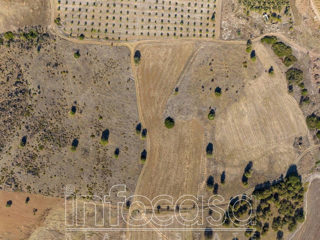 Land in Ermioni, Peloponnese, Western Greece and the Ionian, Greece 3 - 17502059