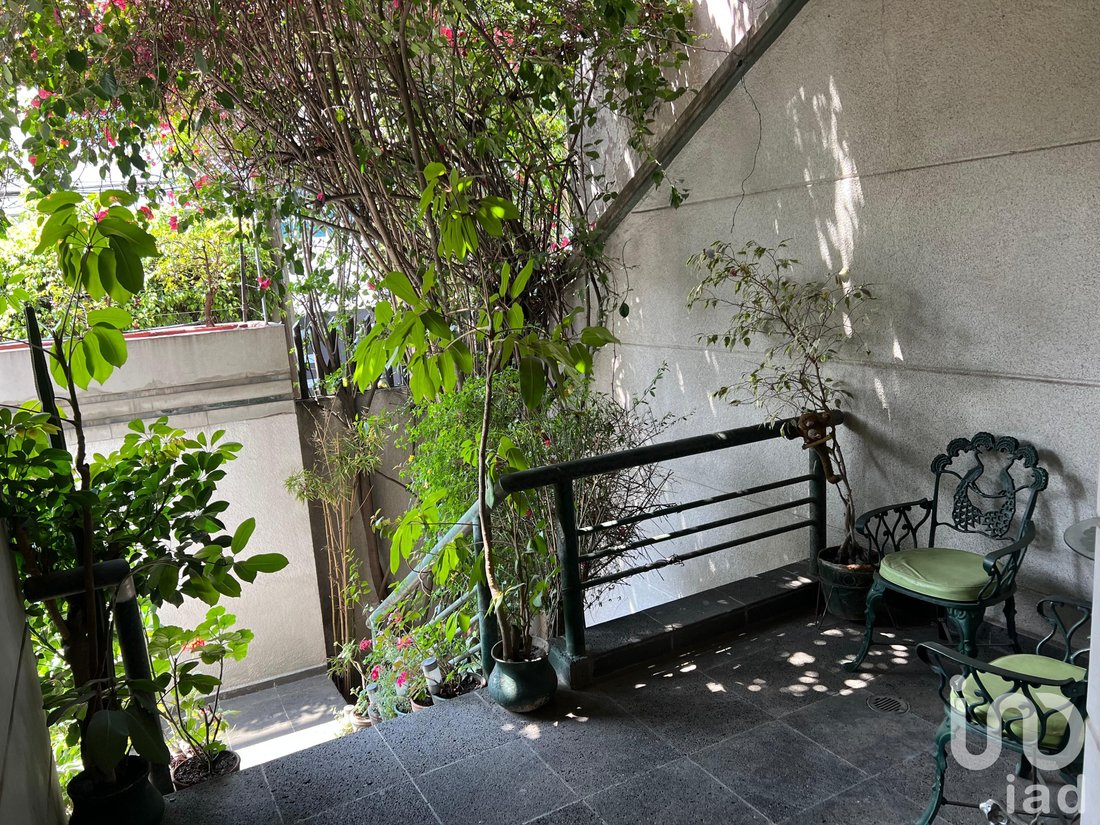 House in Mexico City, Mexico 3 - 17502947