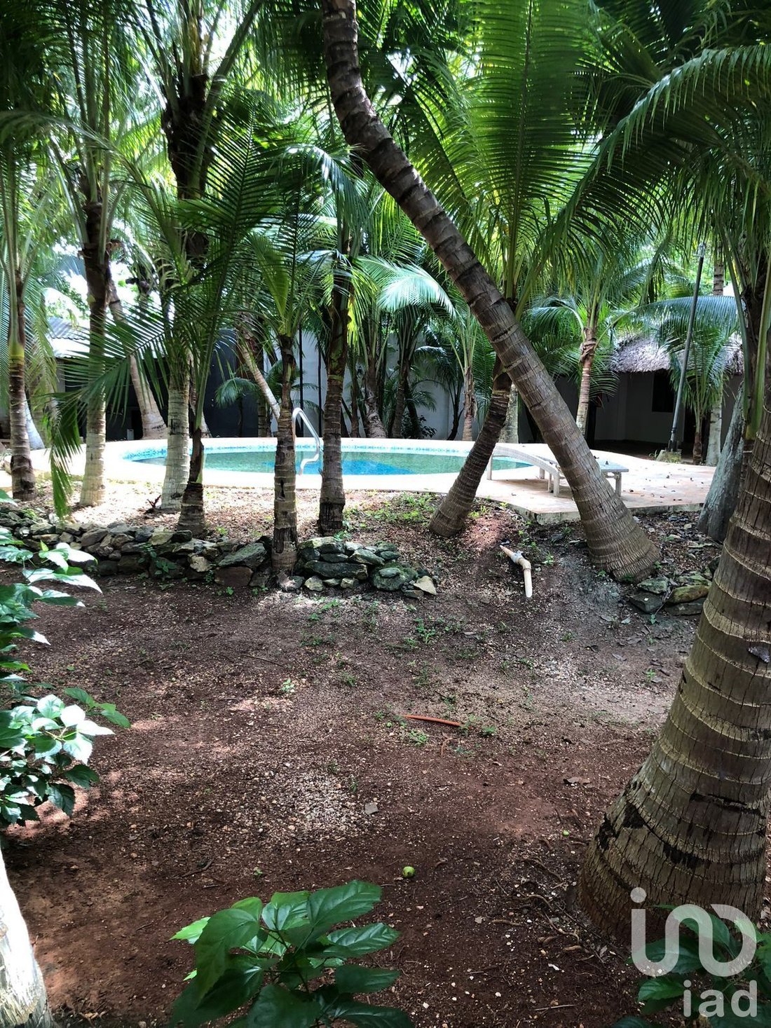 Farm Ranch in Leona Vicario, Quintana Roo, Mexico 4 - 17502954