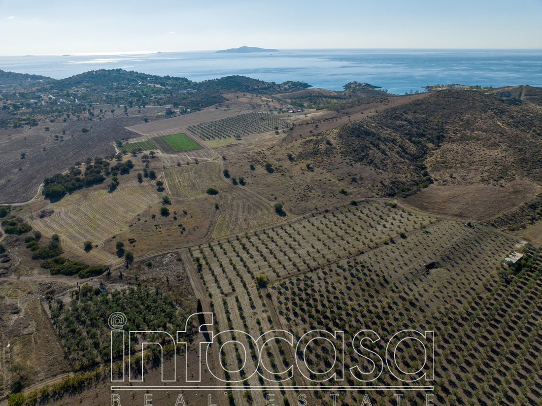 Land in Ermioni, Peloponnese, Western Greece and the Ionian, Greece 5 - 17502059