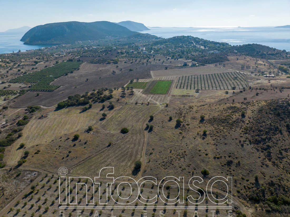 Land in Ermioni, Peloponnese, Western Greece and the Ionian, Greece 2 - 17502059