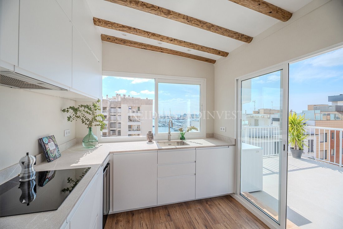 Apartment in Palma, Balearic Islands, Spain 4 - 17502443