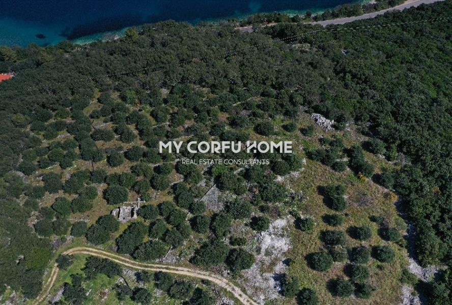 Land in Northern Corfu, Peloponnese, Western Greece and the Ionian, Greece 4 - 17502065