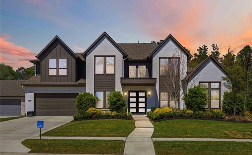 House in Conroe, Texas, United States 1
