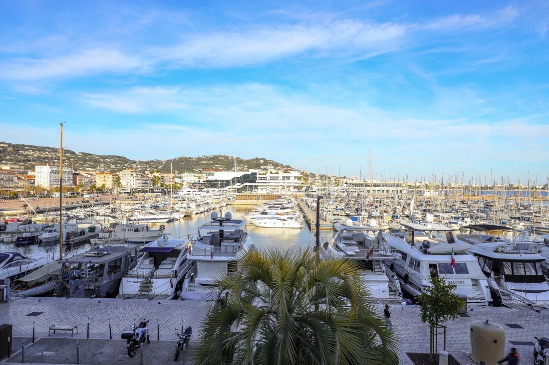 Apartment in Cannes, Provence-Alpes-Côte d'Azur, France 1 - 17502419