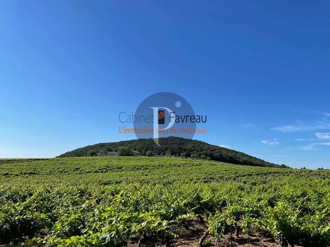 Estate in Pont-Saint-Esprit, Occitania, France 2 - 17502578