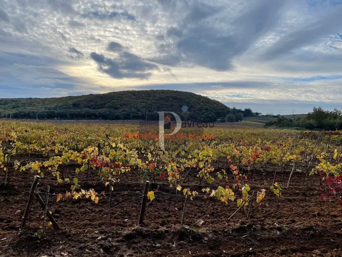 Estate in Pont-Saint-Esprit, Occitania, France 4 - 17502578