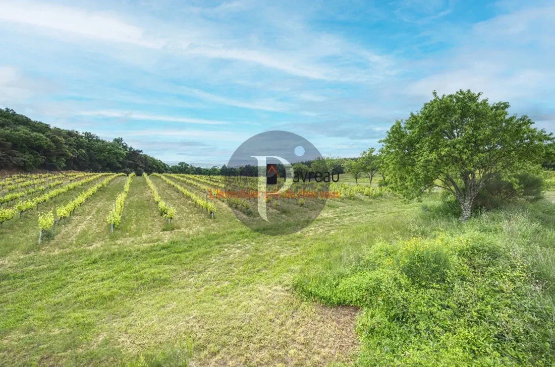 Estate in Pont-Saint-Esprit, Occitania, France 5 - 17502578