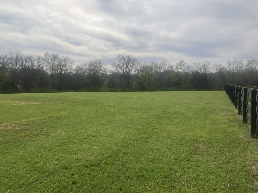 House in Mount Pleasant, Tennessee, United States 4 - 16789593