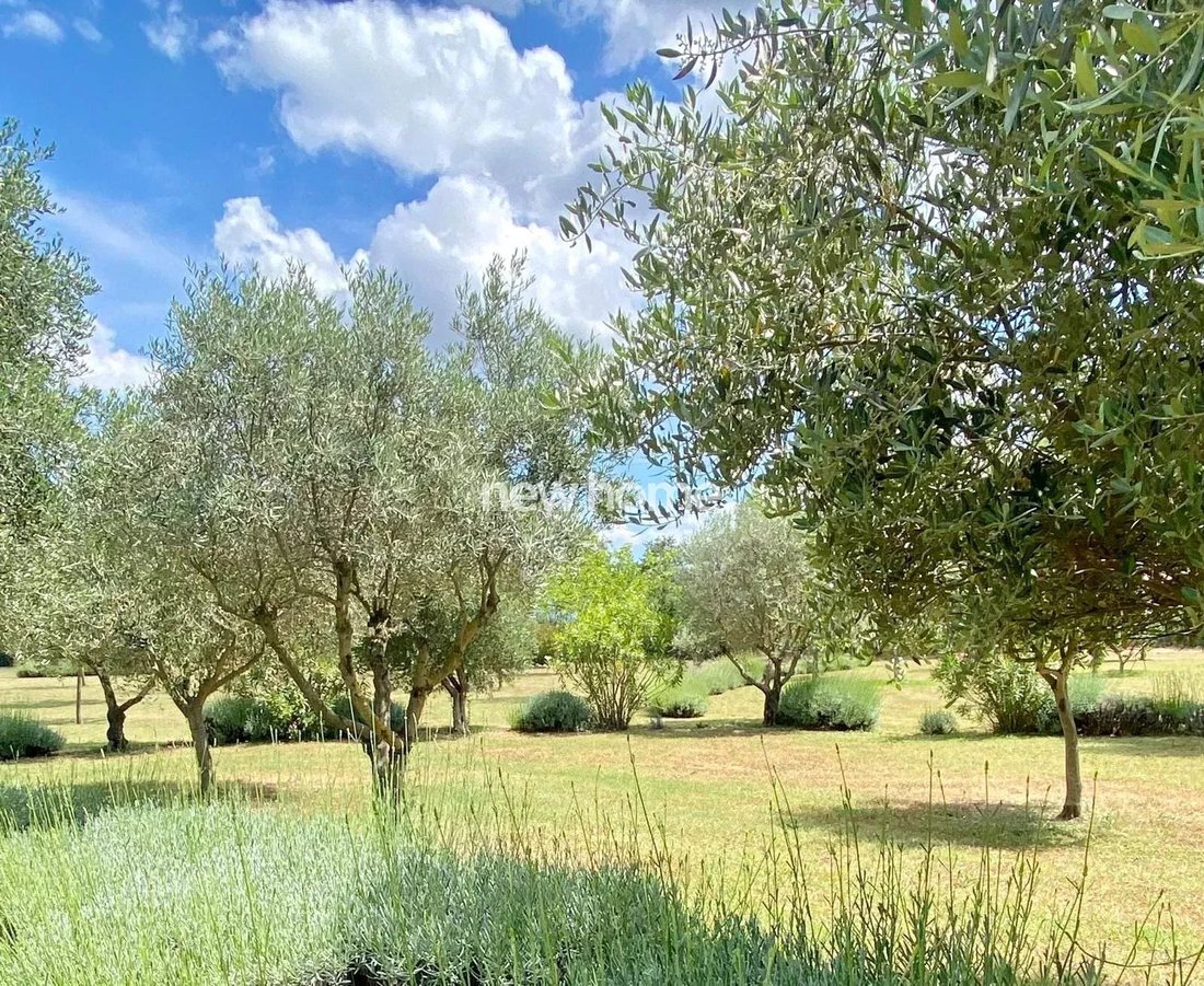 Country House in Le Cannet-des-Maures, Provence-Alpes-Côte d'Azur, France 3 - 17505339