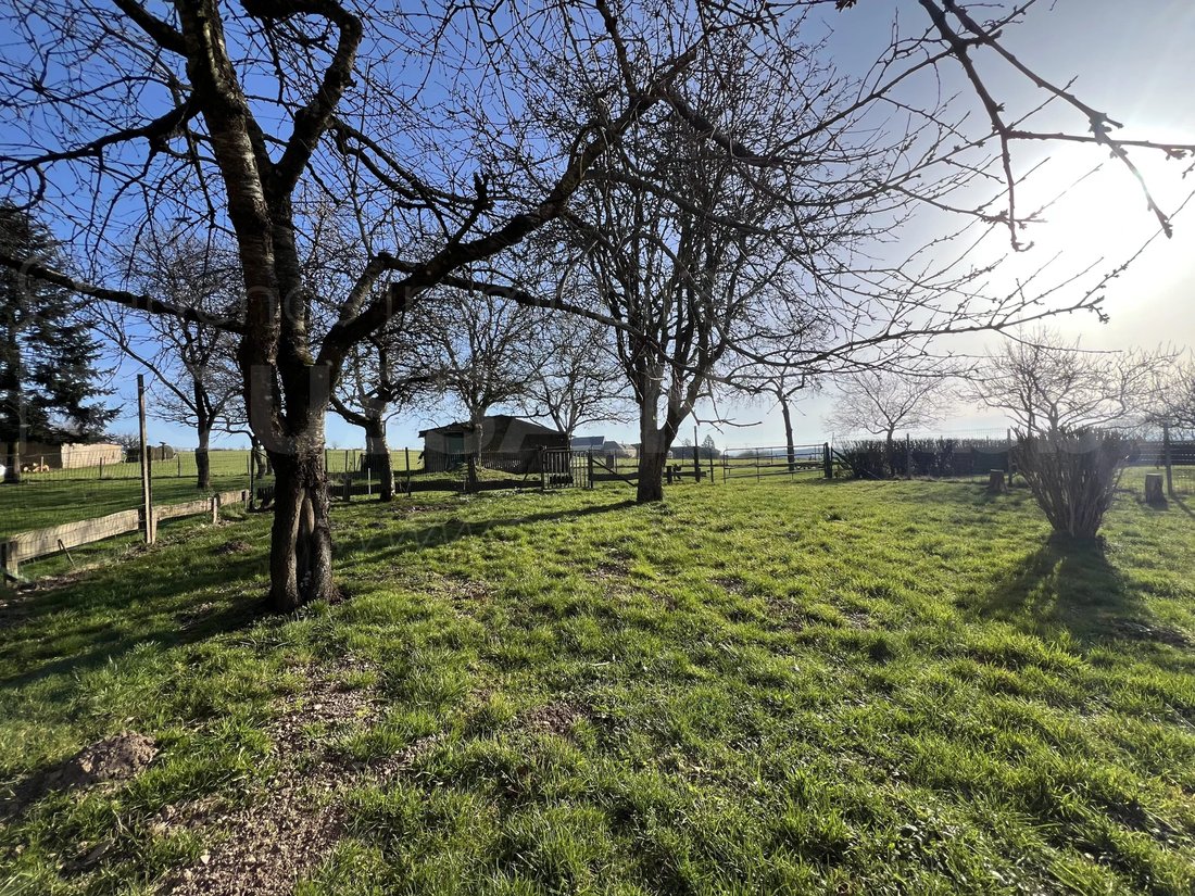 Country House in Esch-sur-Sûre, Diekirch, Luxembourg 4 - 17502879
