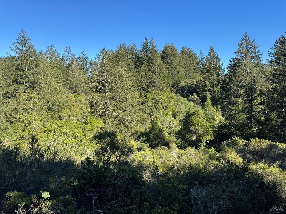 Land in Forest Knolls, California, United States 4 - 17507532