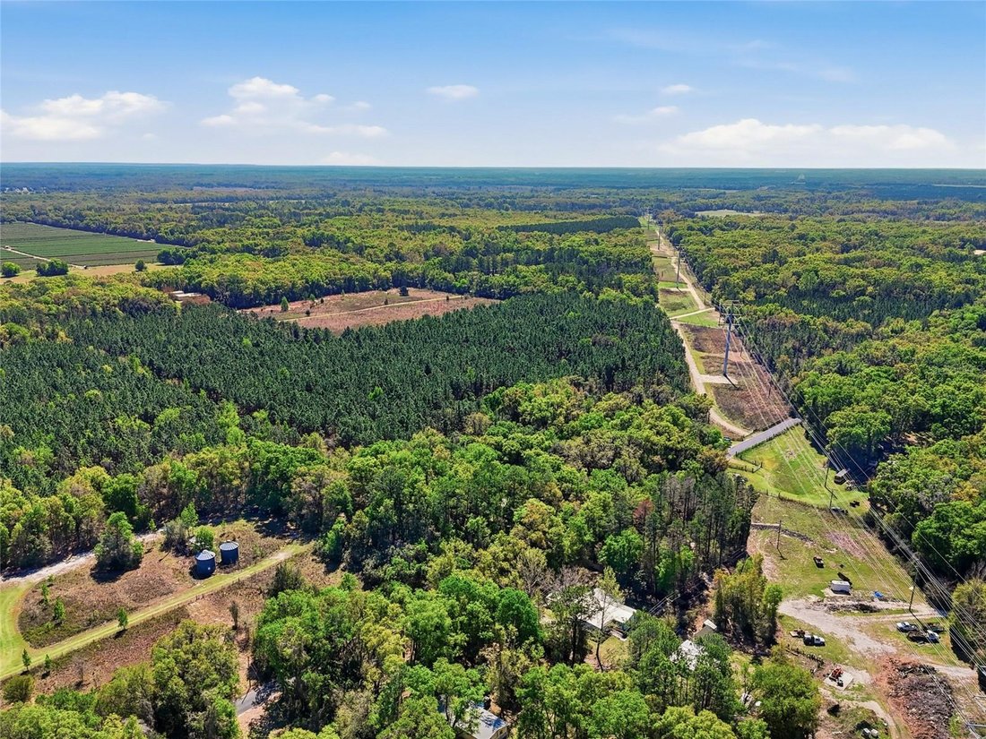 Land in Gainesville, Florida, United States 5 - 17505939