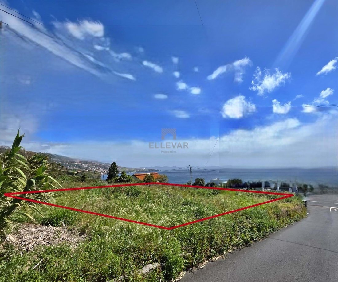 Land in Gaula, Madeira, Portugal 1 - 17503718