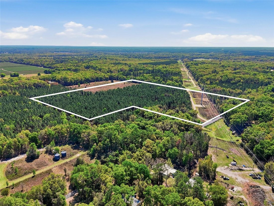 Land in Gainesville, Florida, United States 1 - 17505939