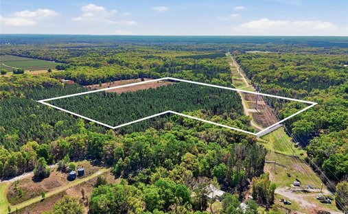 Land in Gainesville, Florida, United States 1