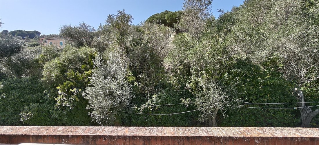 Villa in Colle Cioffi - Castelromano - Fragnete, Isernia, Molise 5 - 17508740