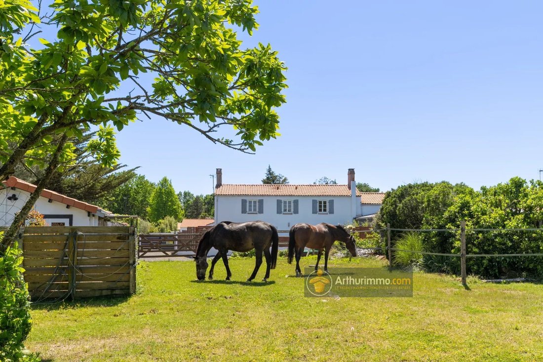 House in Centre, Challans, France 2 - 17491887