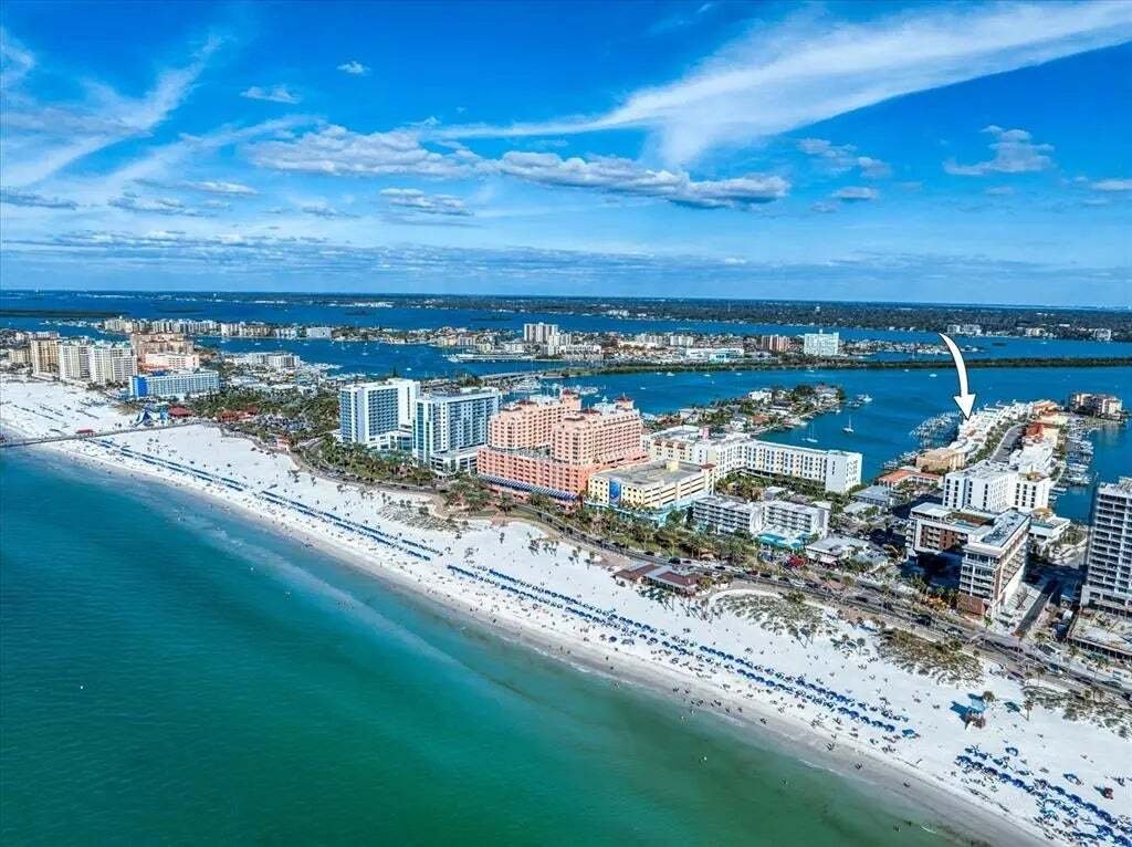 House in Clearwater, Florida, United States 4 - 17507864