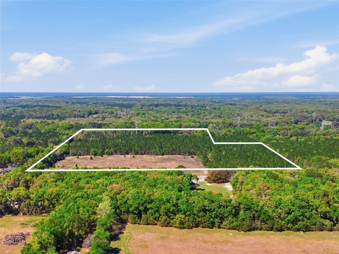 Land in Gainesville, Florida, United States 4 - 17505939