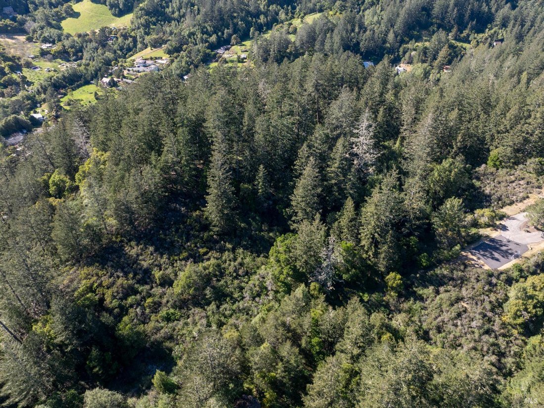 Land in Forest Knolls, California, United States 3 - 17507532
