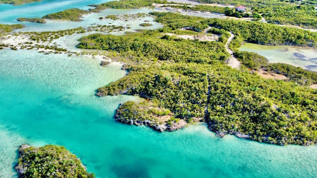 Land in Wheeland Settlement, Caicos Islands, Turks and Caicos Islands 4 - 17512363