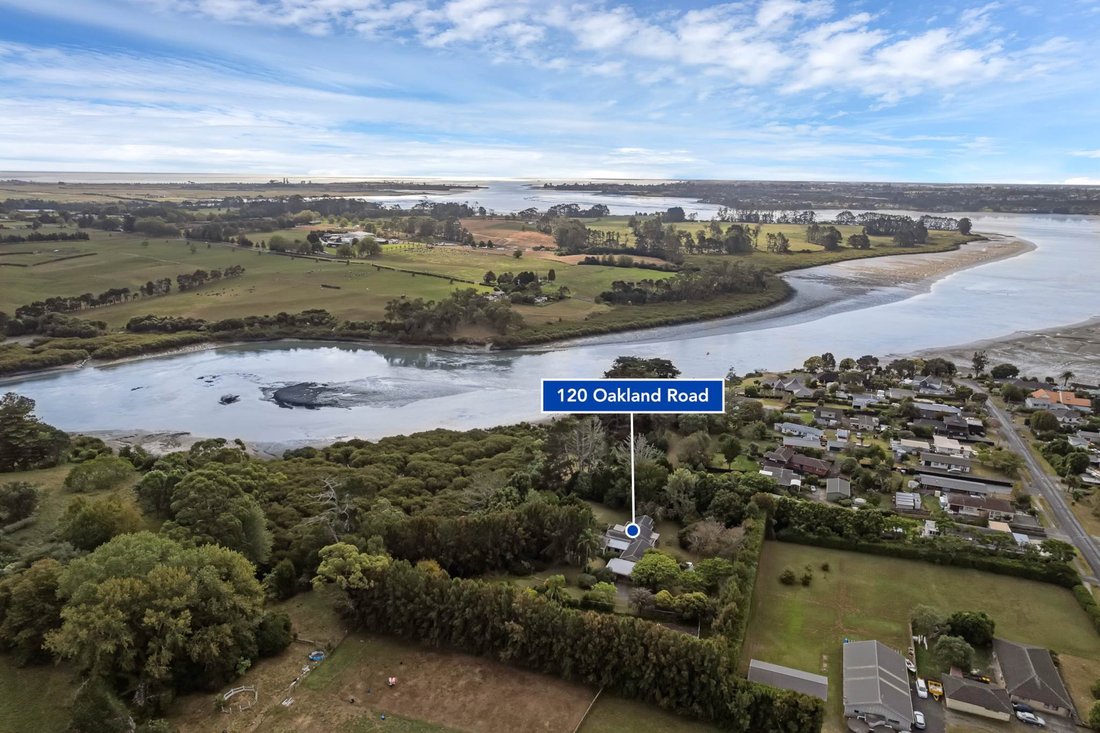 House in Auckland, Auckland, New Zealand 5 - 17508010
