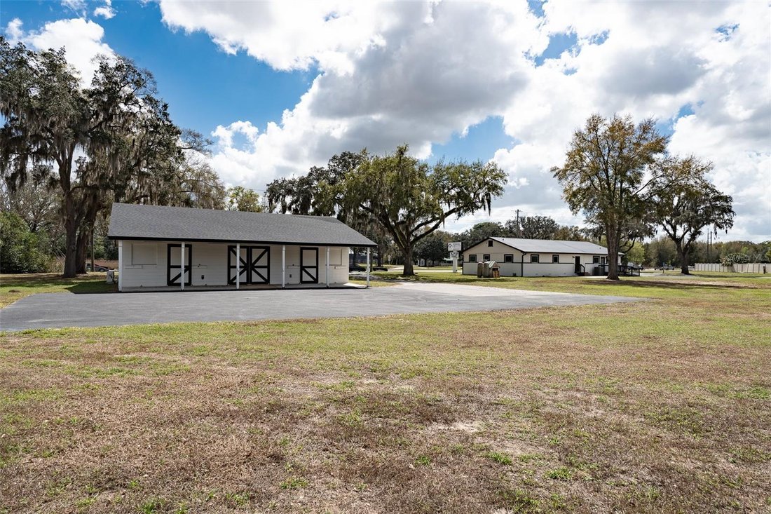 Altro a Ocala, Florida, Stati Uniti 4 - 17512374
