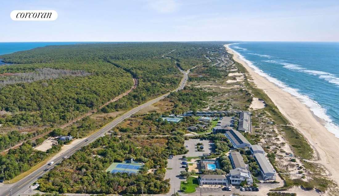 Co Op in Amagansett, New York, United States 3 - 16279597