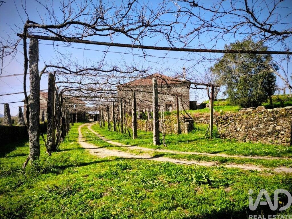 Farm Ranch in Viana do Castelo, Viana do Castelo District, Portugal 3 - 17509974