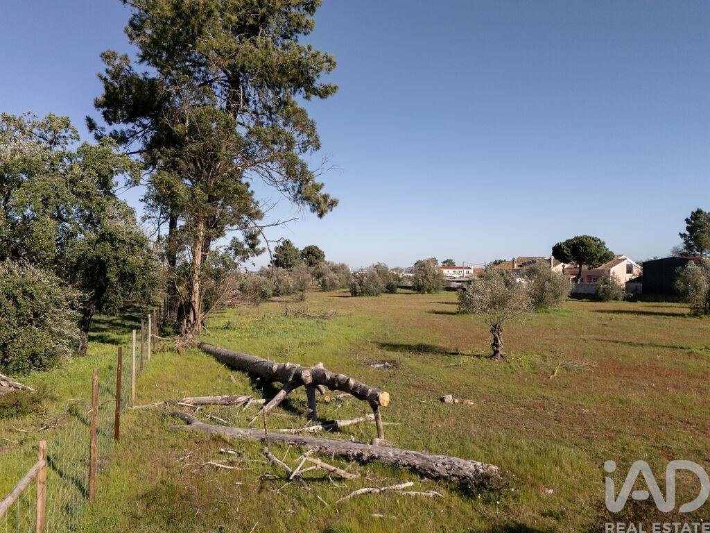 Land in Azeitao (Sao Lourenco e Sao Simao), Setubal, Portugal 4 - 17509684