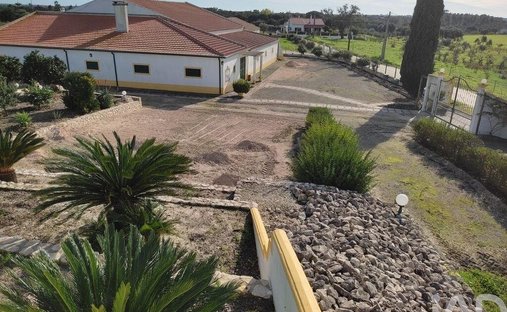 Terreno a Branca, Distretto di Santarém, Portogallo 1