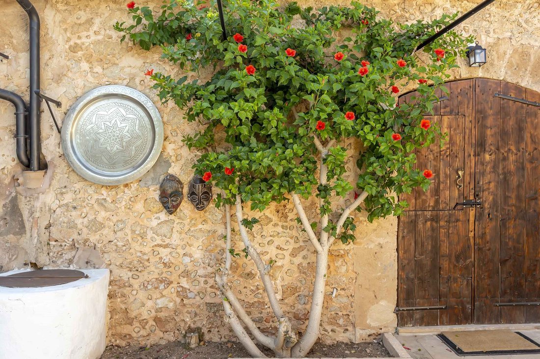 Country House in Alaro, Balearic Islands, Spain 4 - 17513346
