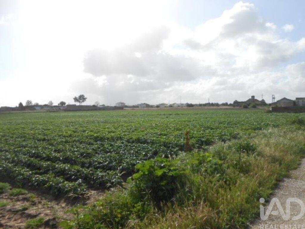 Land in Montijo e Afonsoeiro, Setubal, Portugal 3 - 17510001