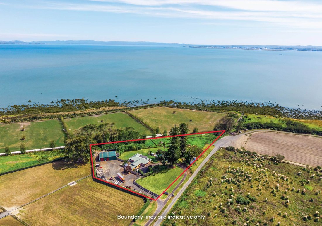 House in Auckland, Auckland, New Zealand 4 - 17508015