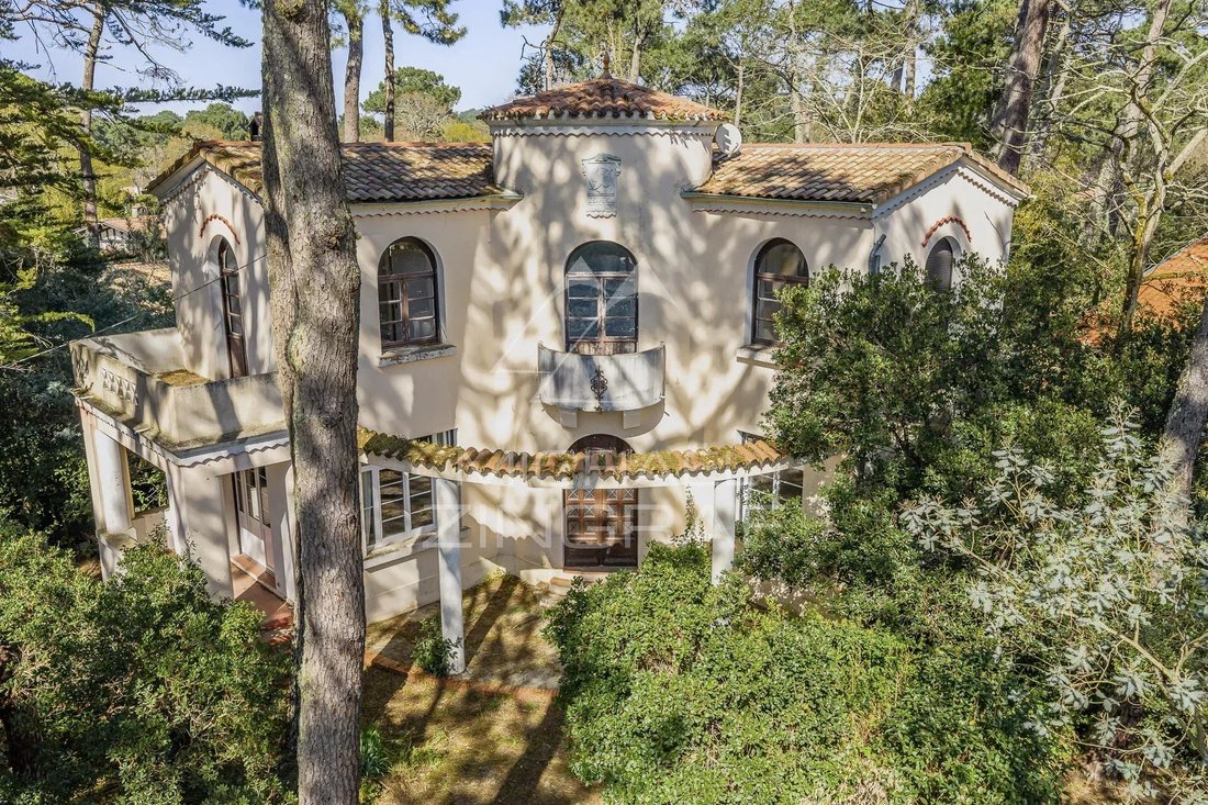 Villa in Le Pyla, La Teste-de-Buch, France 1 - 17500090