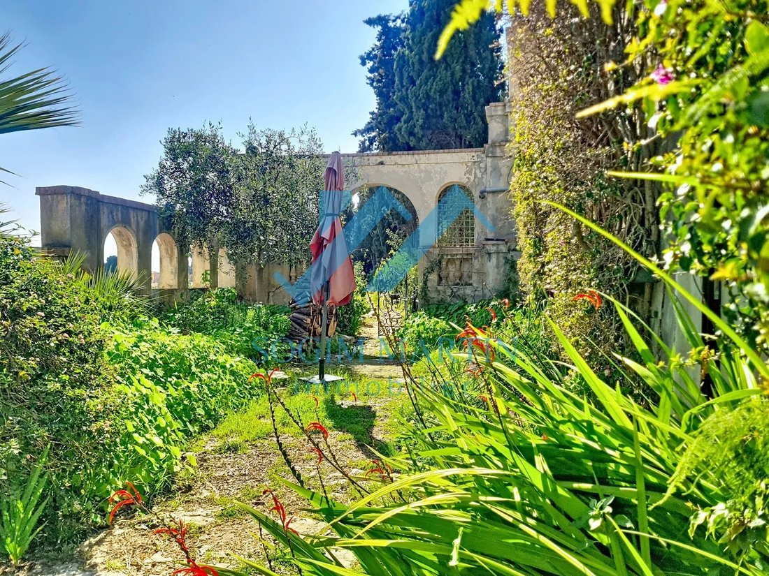 Villa in Menton, Provence-Alpes-Côte d'Azur, France 4 - 17503135