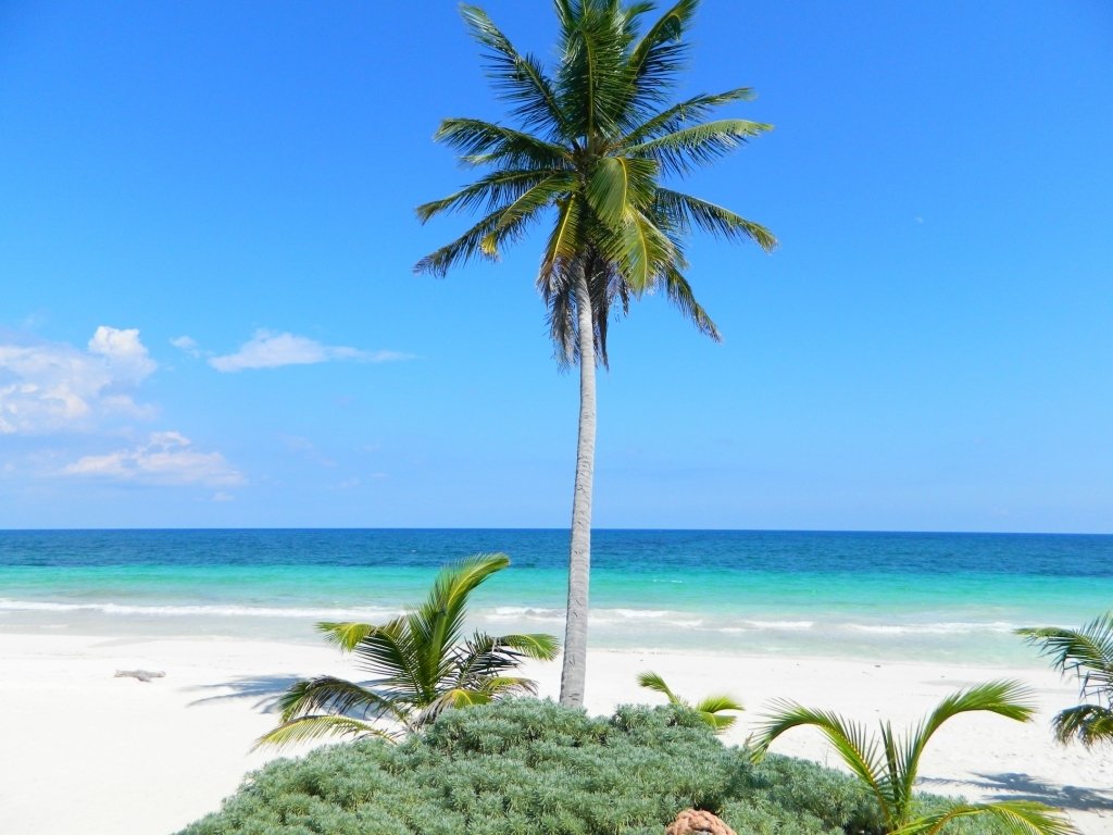 Land in Tulum, Quintana Roo, Mexico 4 - 17508037