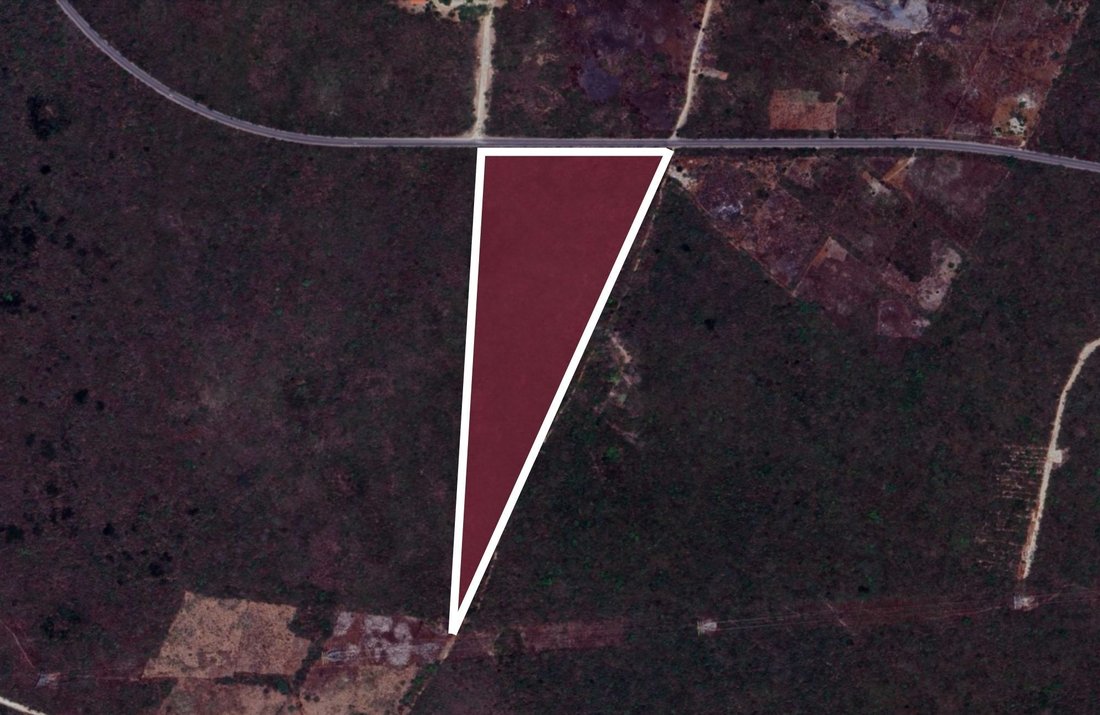 Land in Valladolid, Yucatan, Mexico 2 - 17504313