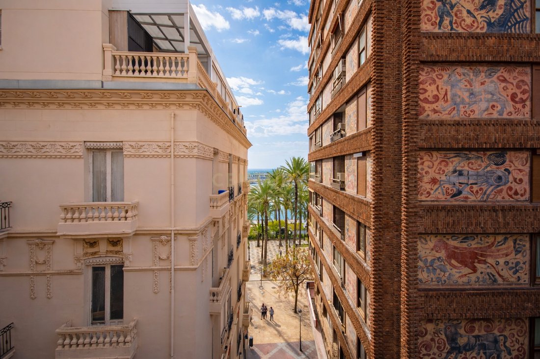 Apartment in Casco Antiguo - Santa Cruz - Ayuntamiento, Alicante, Valencian Community 4 - 17505797